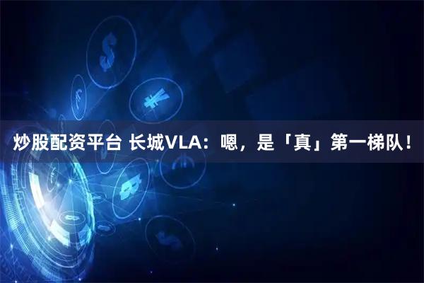 炒股配资平台 长城VLA：嗯，是「真」第一梯队！
